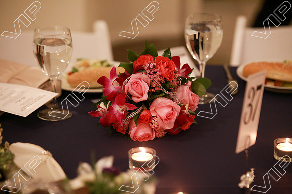 HINS_0041