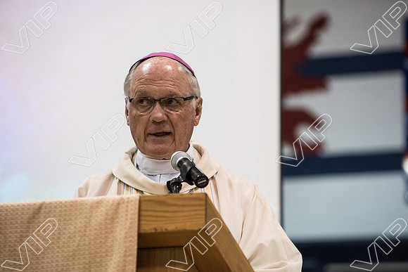 svhs mass-43