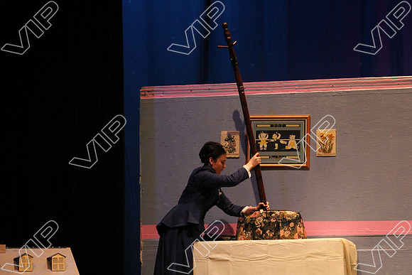 WTHS-0374