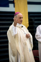 svhs mass-17