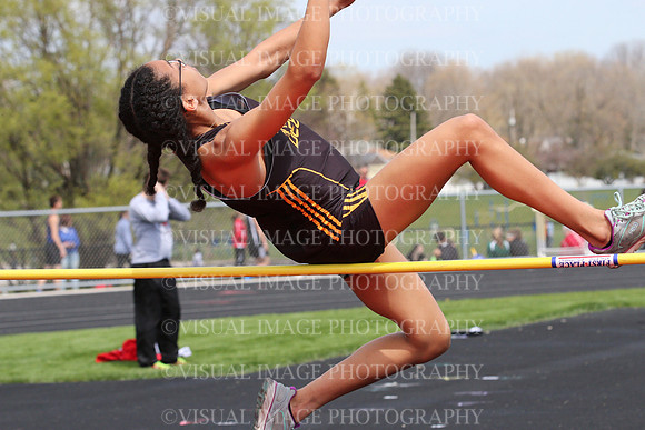 BDHS_036