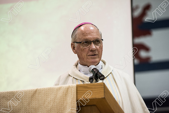 svhs mass-40