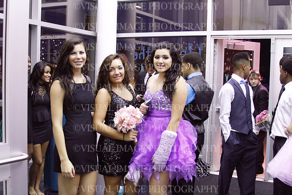 TFHS_026
