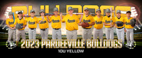 10uteamyellow_b