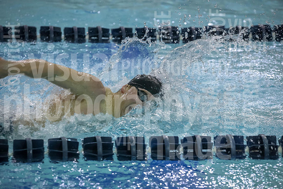 sps_0040_1008227878