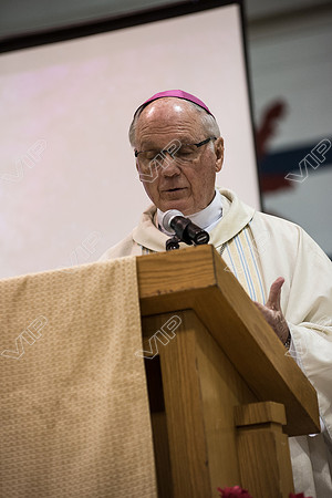 svhs mass-48