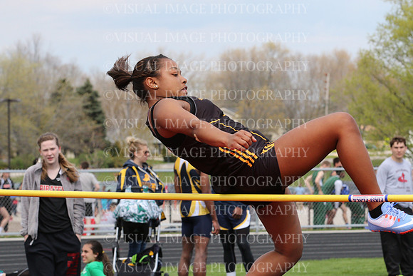 BDHS_041
