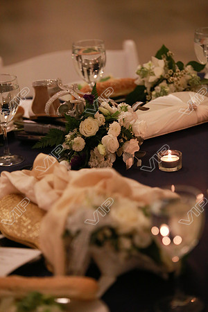 HINS_0042