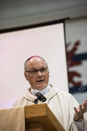 svhs mass-46