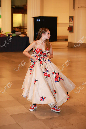 HINS_0036