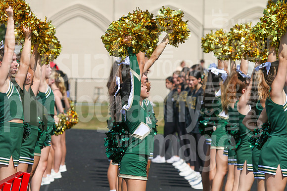 sps_0007_1010624506
