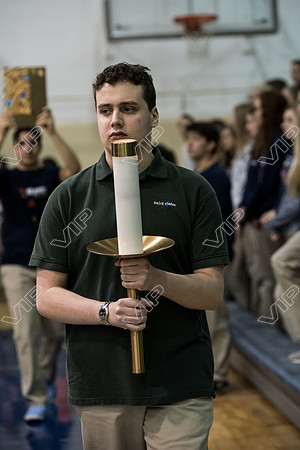 svhs mass-10