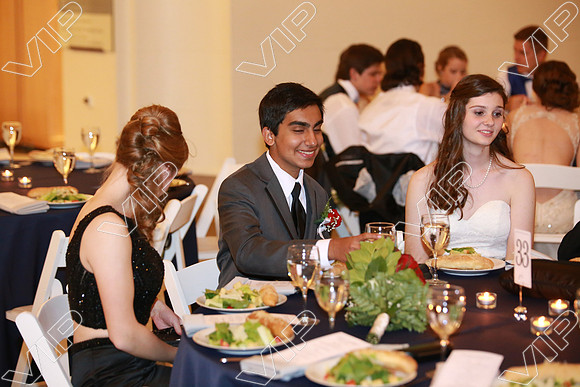 HINS_0039