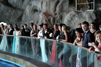 LBHS_4