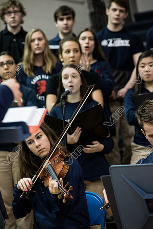 svhs mass-20