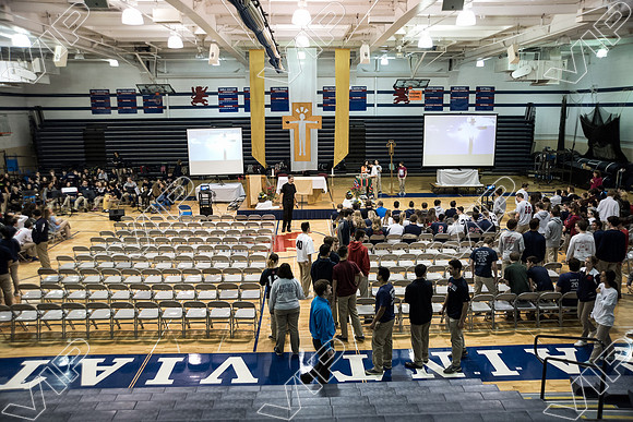 svhs mass-2