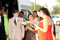 TFHS_0016