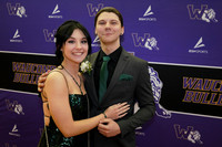 sps_1003_1008992211