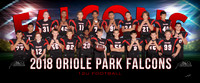 12u_Fb