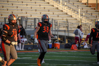sps_0009_4970165