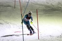 sps_0012_1008223204
