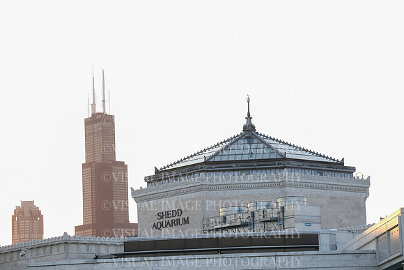 LBHS_0006