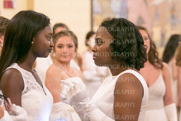 DSHA_0113
