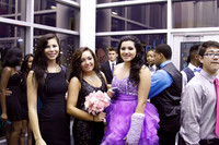 TFHS_025