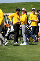 sps_3641_5201197