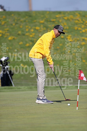 sps_3686_5201202