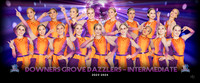 intermediate
