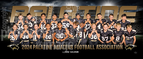 10usilver_