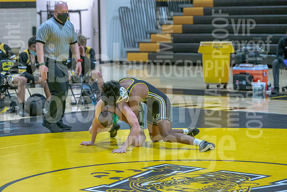 sps_0042_5301243