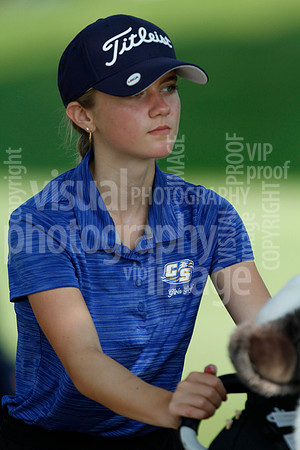 sps_4319_1017296148