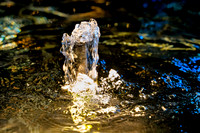 sps_0009_1036884516