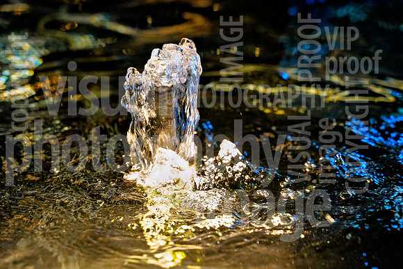 sps_0009_1036884516