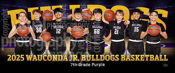 7thGradePurple
