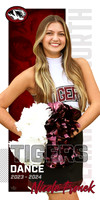 Dance_HS Banner