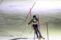 sps_0013_1008223123