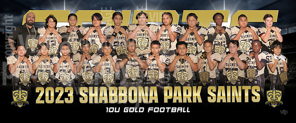 10u_gold_fb_pp