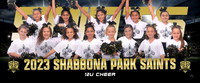 12u_chr_pp
