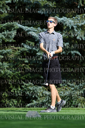 DEDN_031