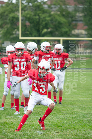 sps_0033_1032868509