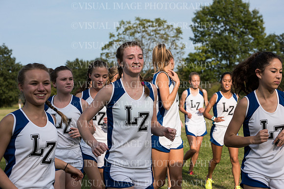 LZHS_019