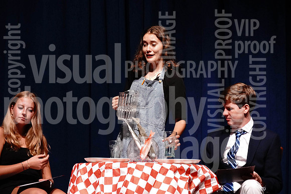 sps_0093_1032959671