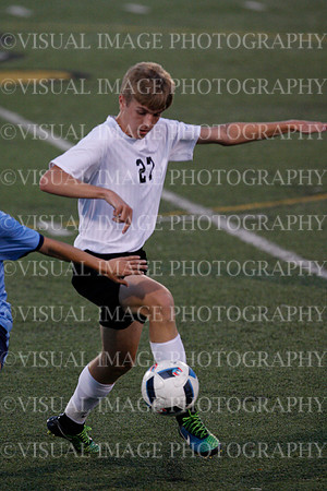 HINS_036
