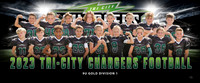 9u_gold_div1