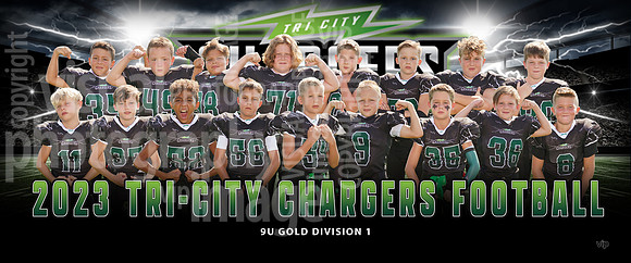 9u_gold_div1