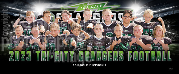 10u_gold_div2