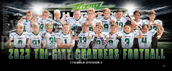 11u_gold_div2